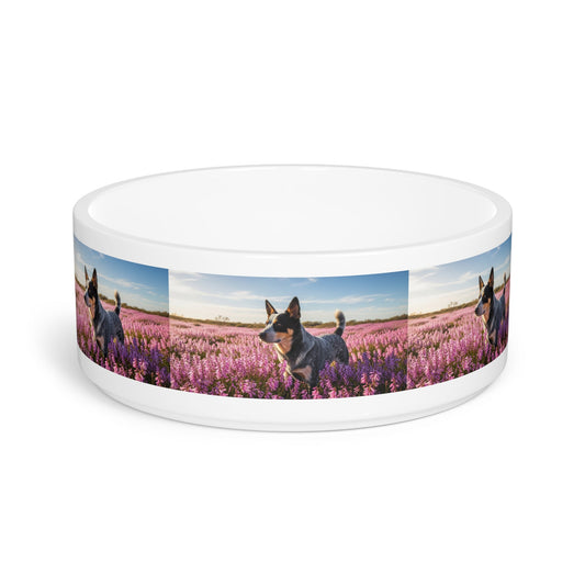 Australian Stumpy Tail Cattle Dog Pet Bowl
