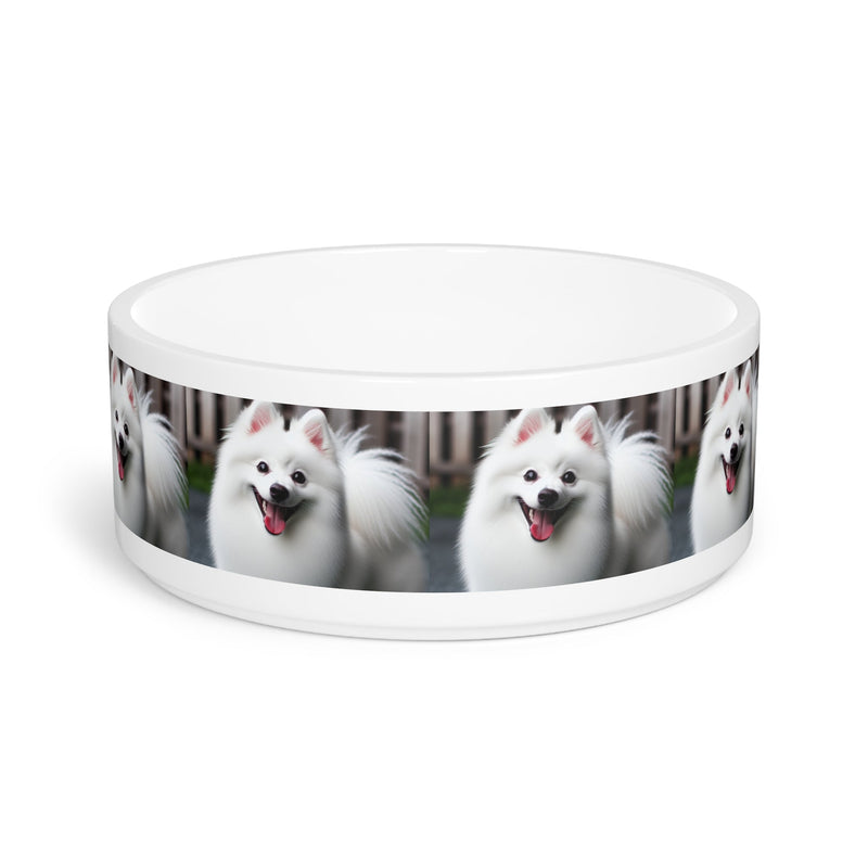 American Eskimo Dog Pet Bowl