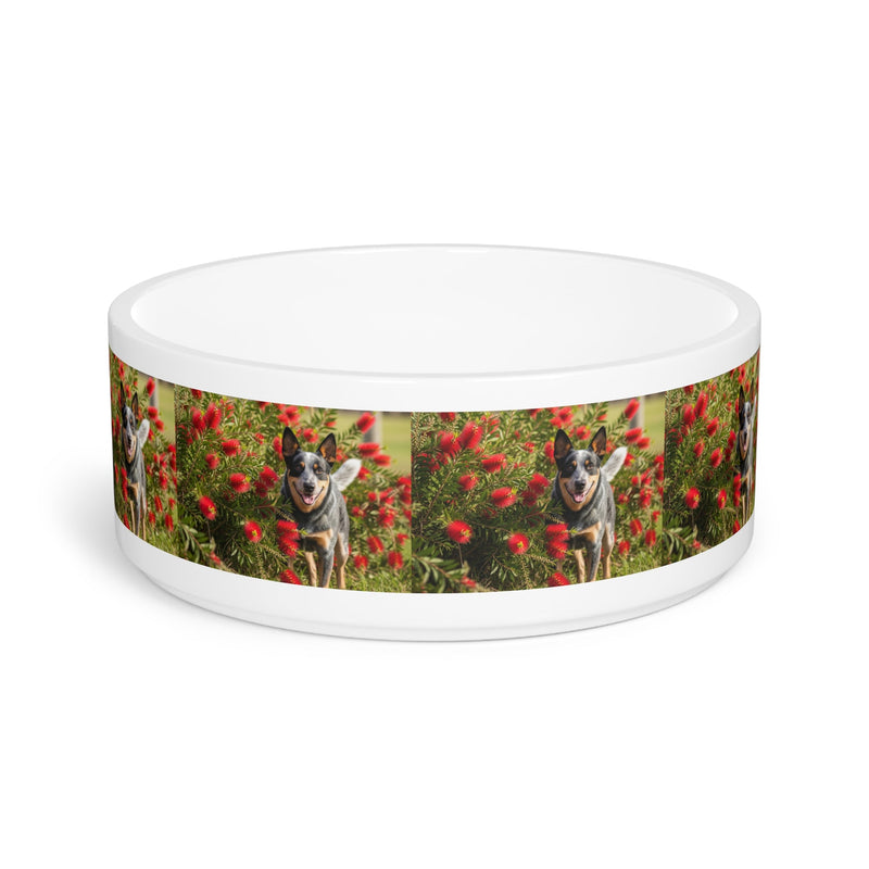 Australian Cattle Dog Pet Bowl
