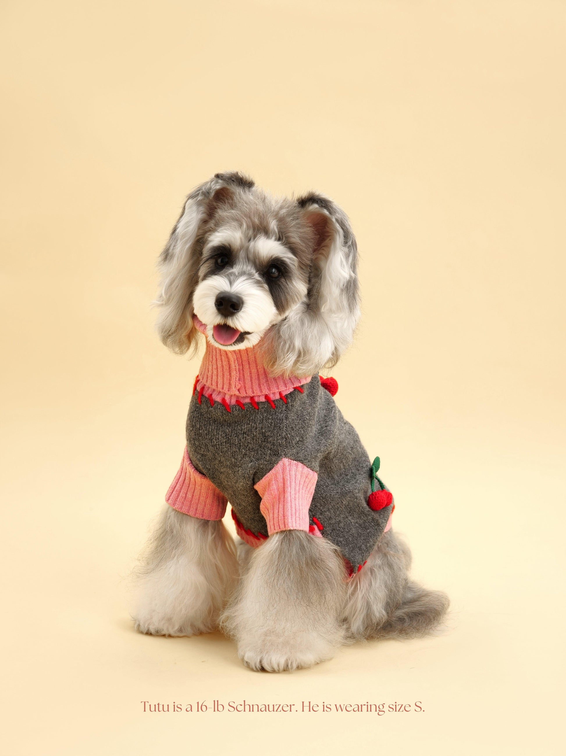 Cherry Kiss Sweater - Dog Sweater - BarkBarkBaby