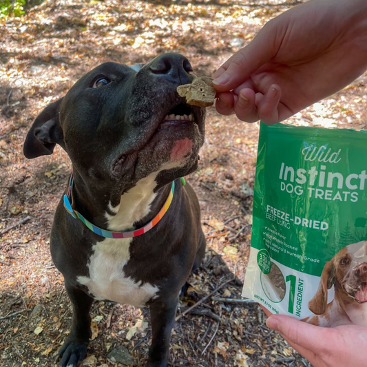 Purrfect Kingdom™ - Freeze Dried Beef Lung Premium Treat