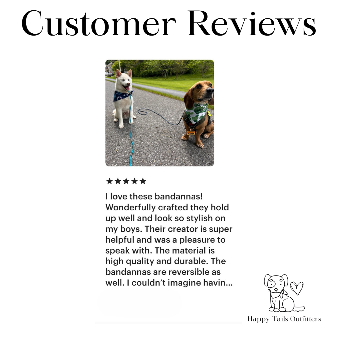 Nautical Dog Bandana New Arrivals - Purrfect Pet Kingdom