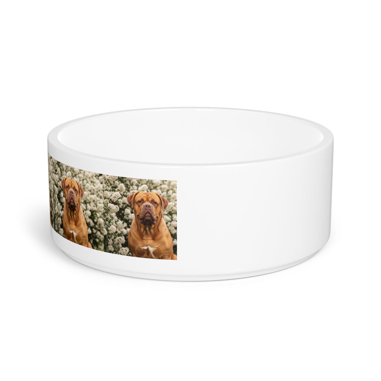 Dogue de Bordeaux Pet Bowl