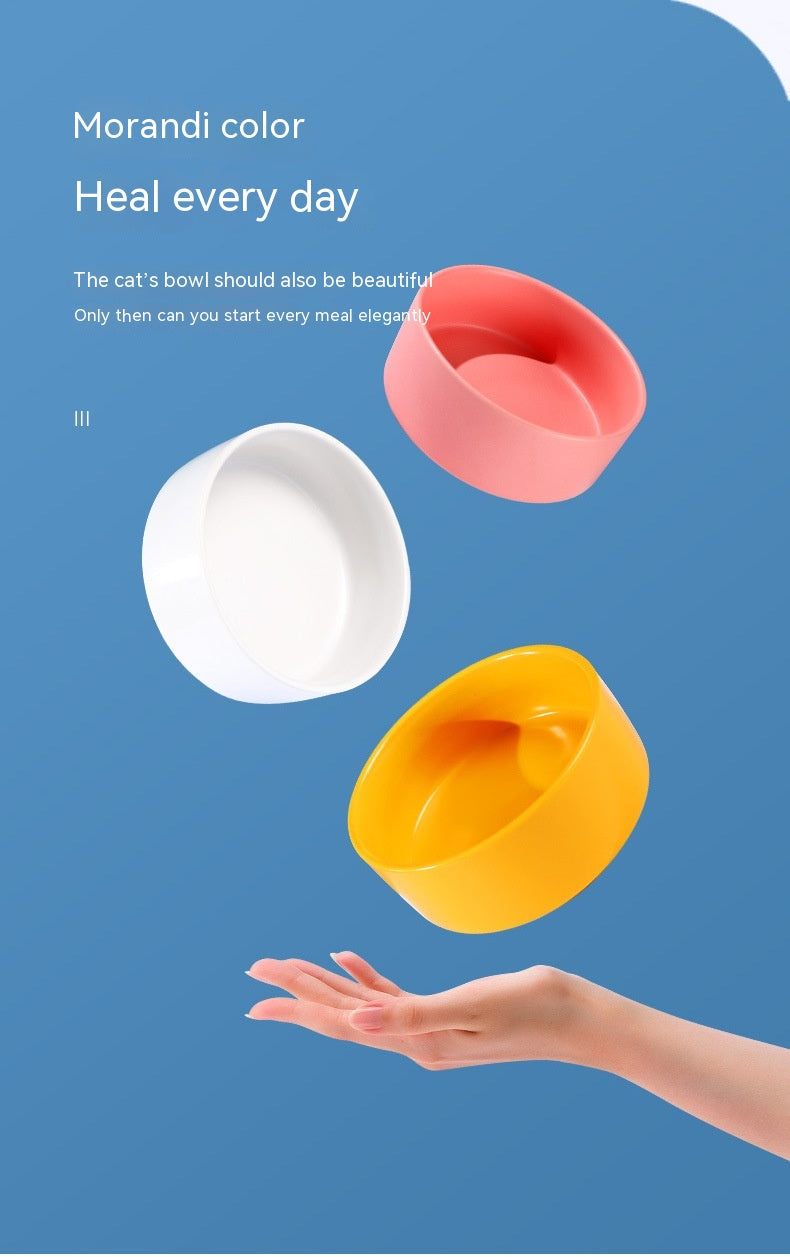 Pet Ceramic Bowl In Stock Simple Style
