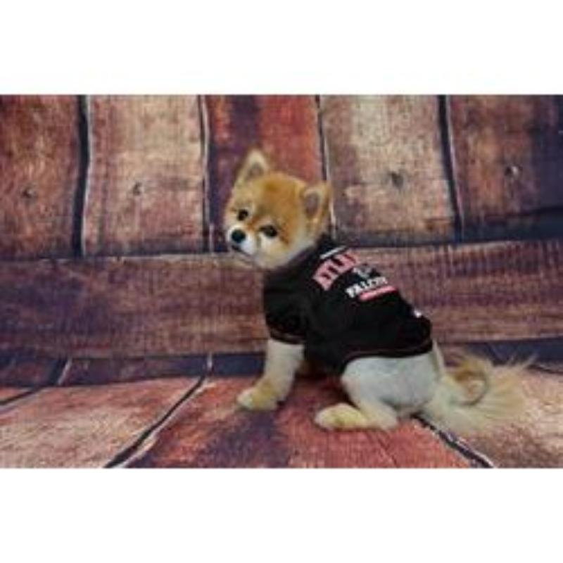 Atlanta Falcons Dog Tee