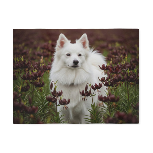 American Eskimo Dog Sweatshirt Blanket