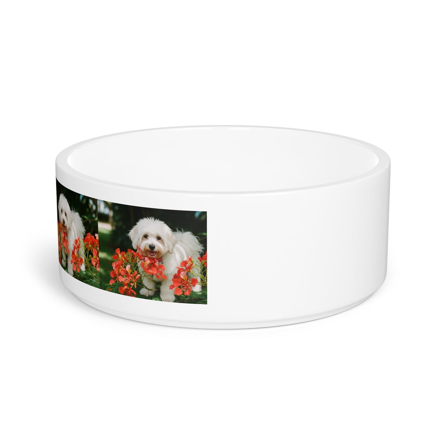 Coton de Tulear Dog Pet Bowl