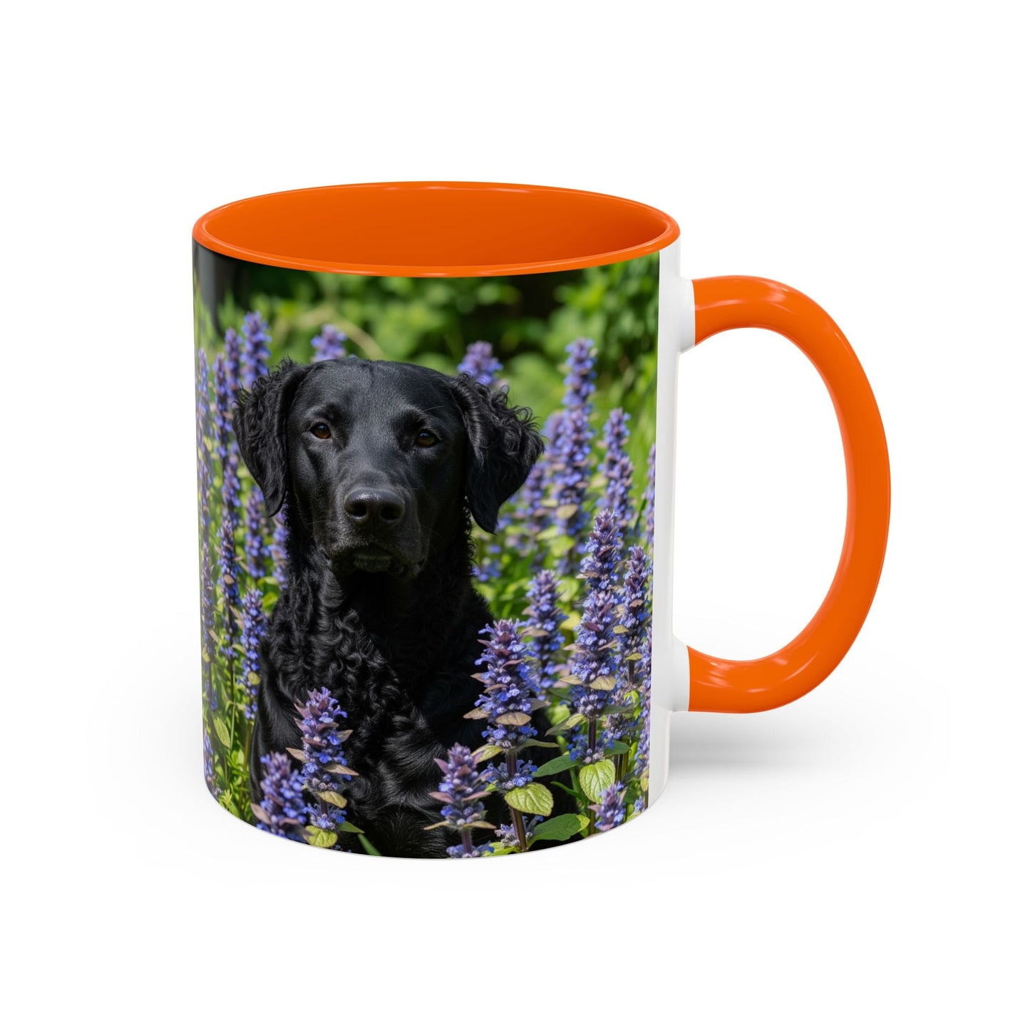 Curly Coated Retriever Accent Coffee Mug - Perfect Gift for