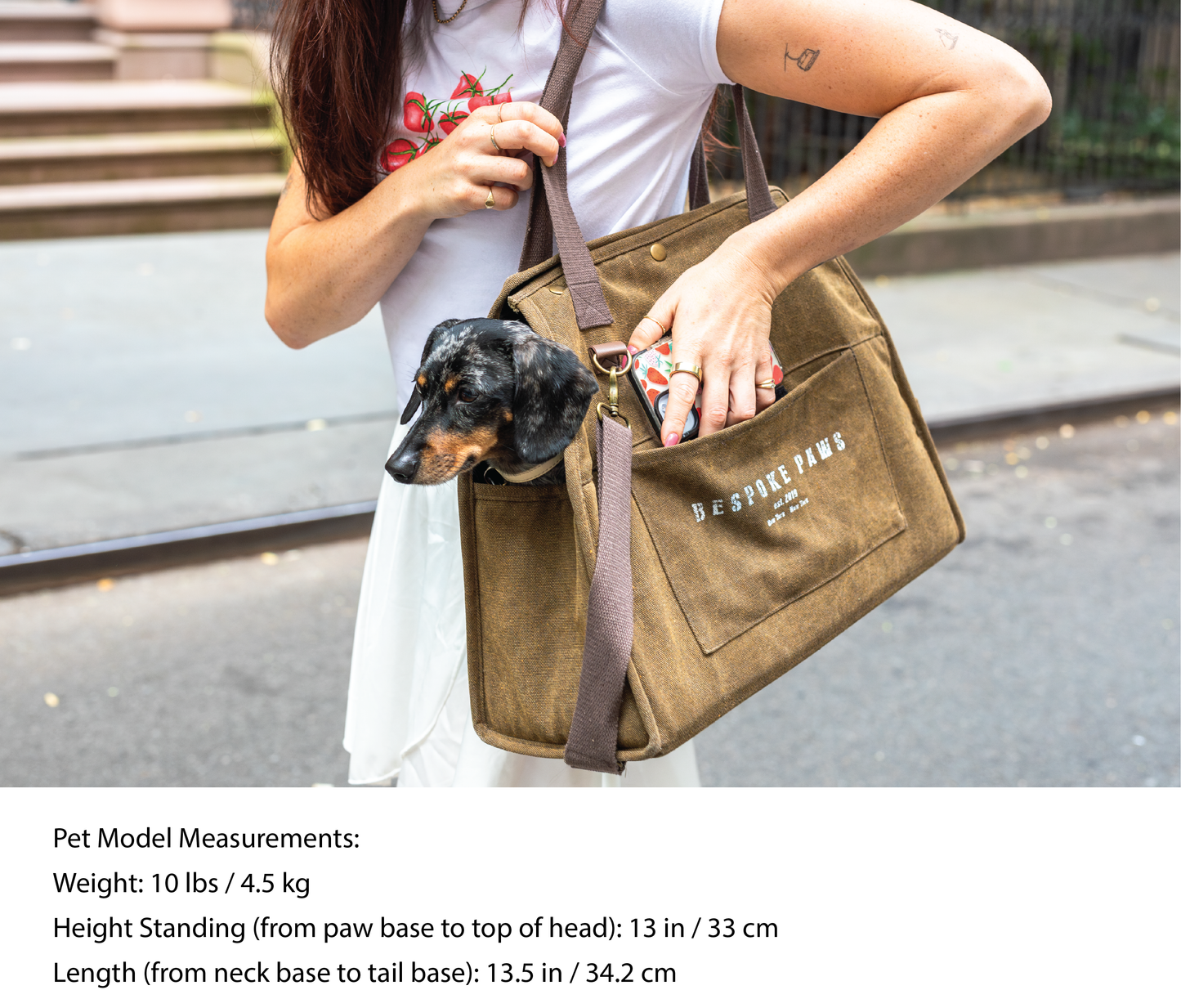 BESPOKE PAWS Packable Pet Carrier Medium Army Green