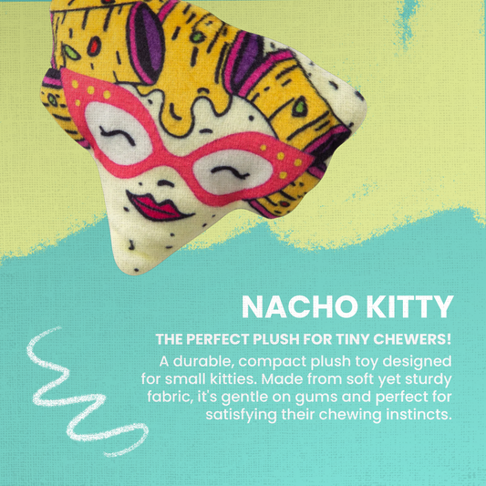 Nacho Kitty with Catnip