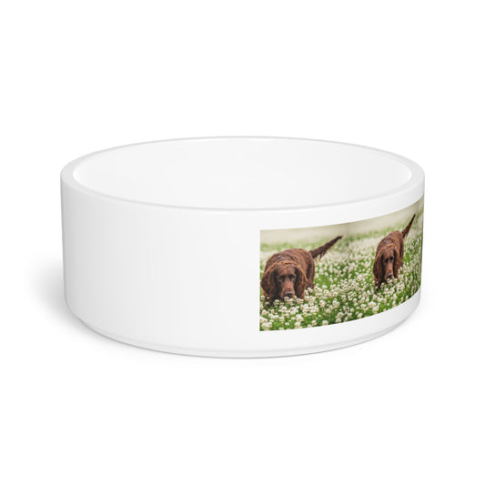 Irish Water Spaniel Pet Bowl