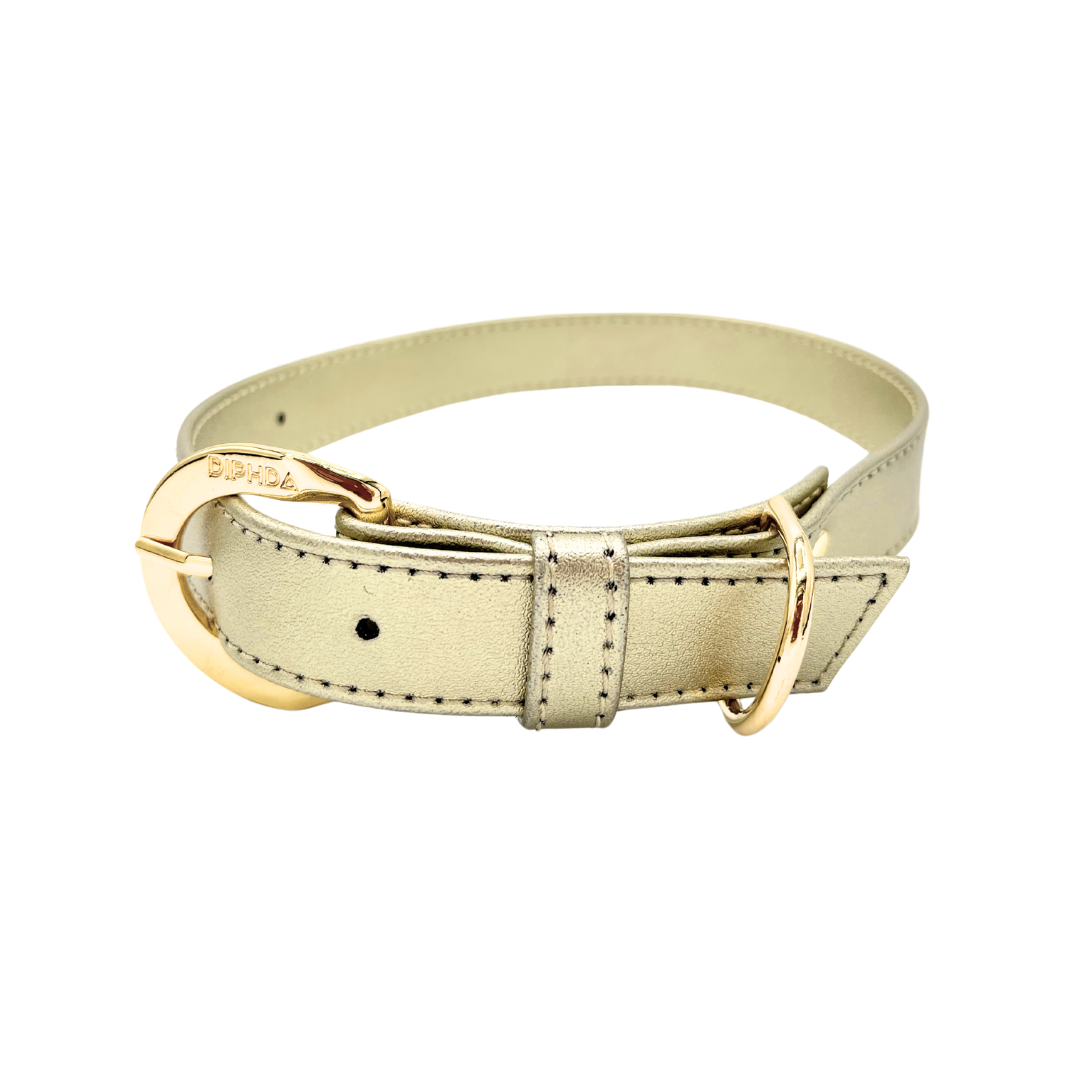 Champagne Gold Cactus Collar - Purrfect Pet Kingdom