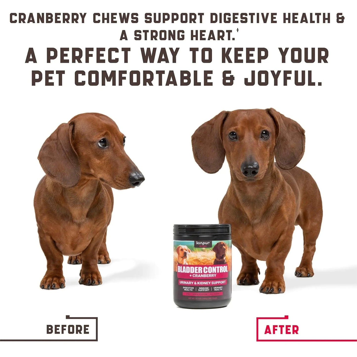 180 Cranberry UT Health Dog Chews 🫐 - Purrfect Pet Kingdom