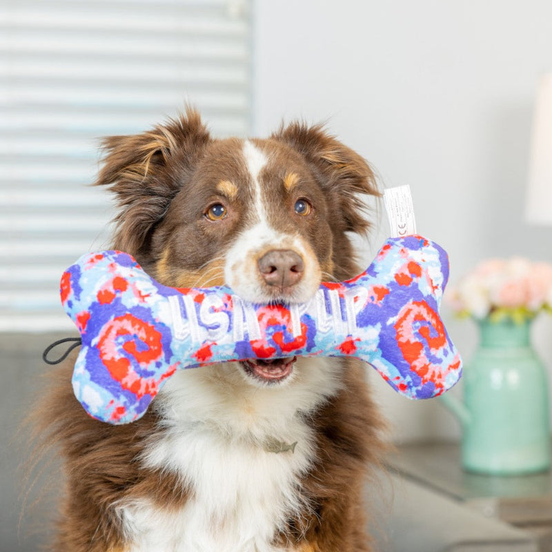 USA Pup Bone Dog Toy