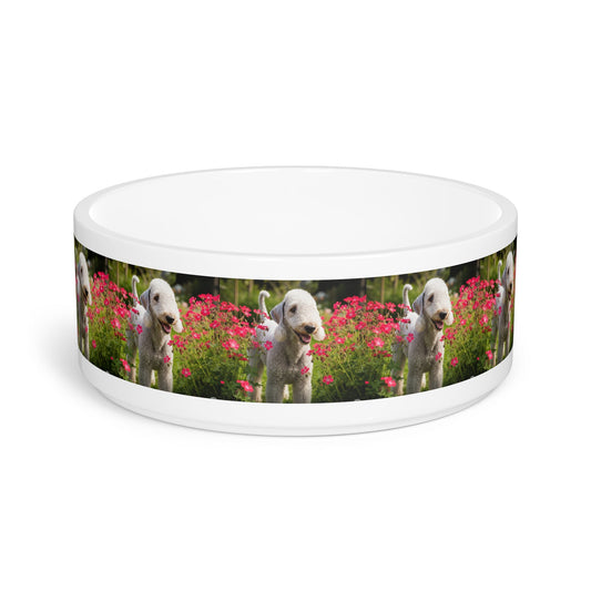 Bedlington Terrier Pet Bowl