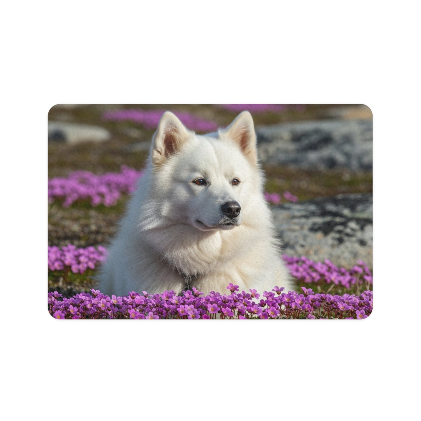 Pet Food Mat (12x18) - Canadian Eskimo Dog