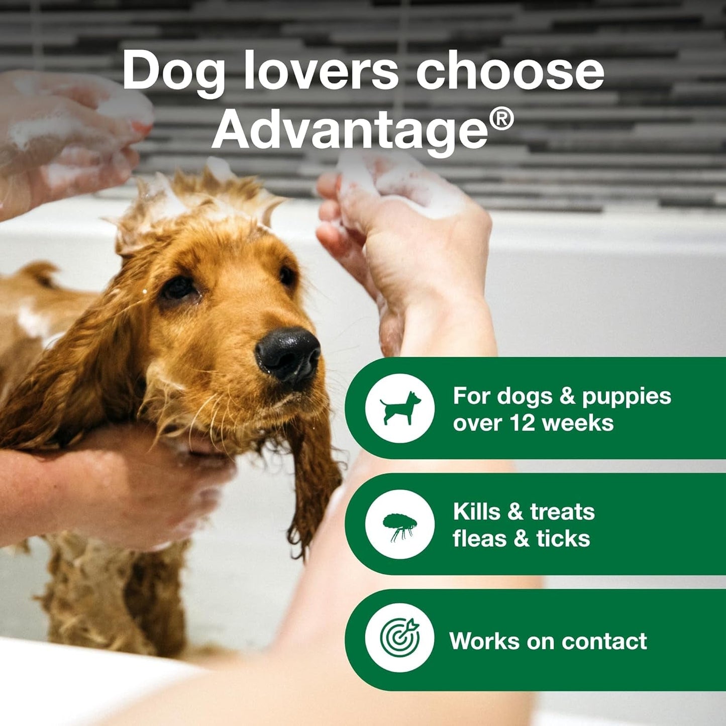 Flea And Tick Shampoo Dogs Puppies 12 Oz 🛁
