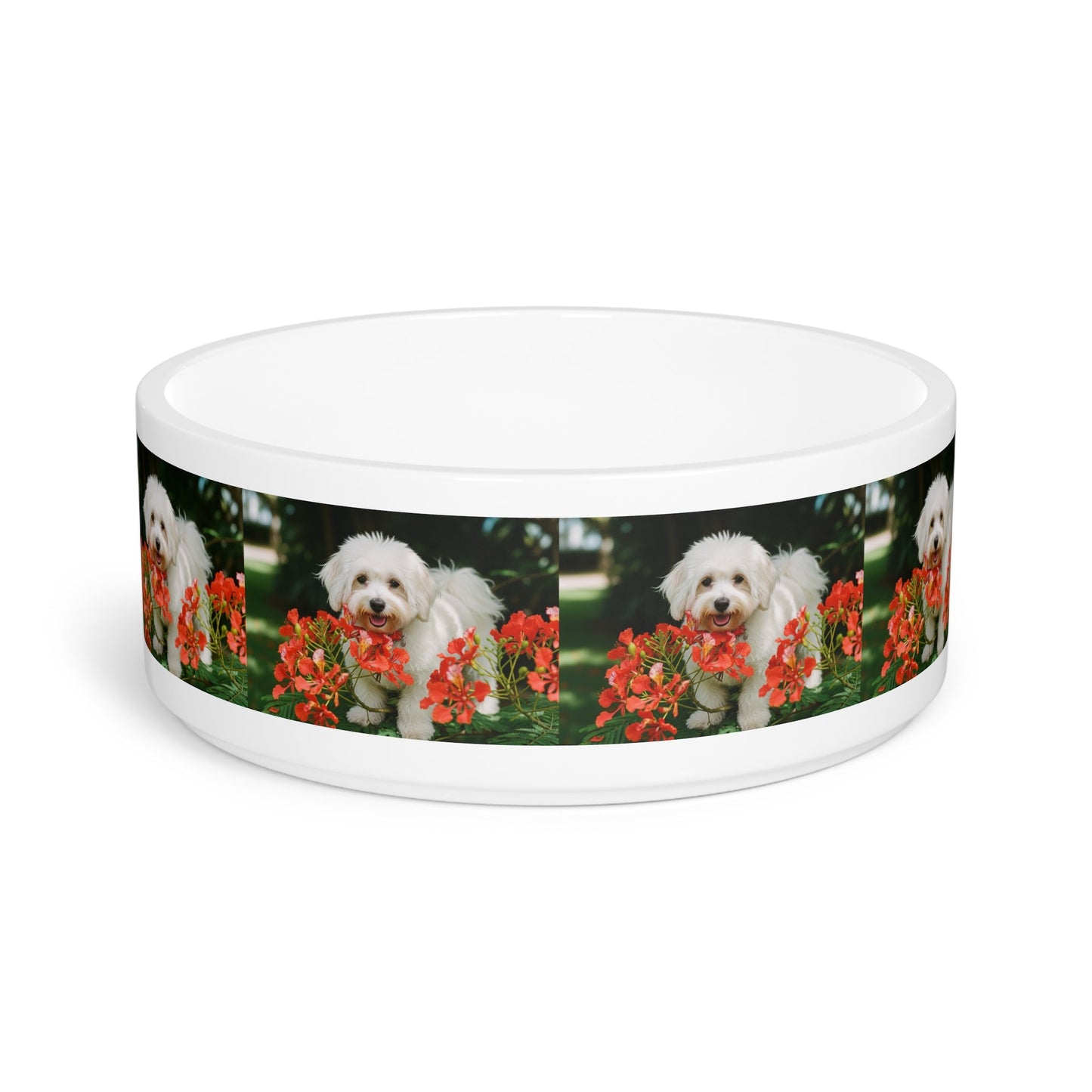 Coton de Tulear Dog Pet Bowl