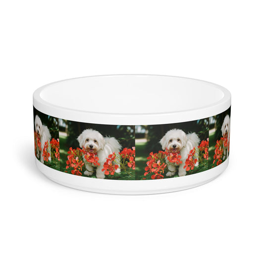 Coton de Tulear Dog Pet Bowl