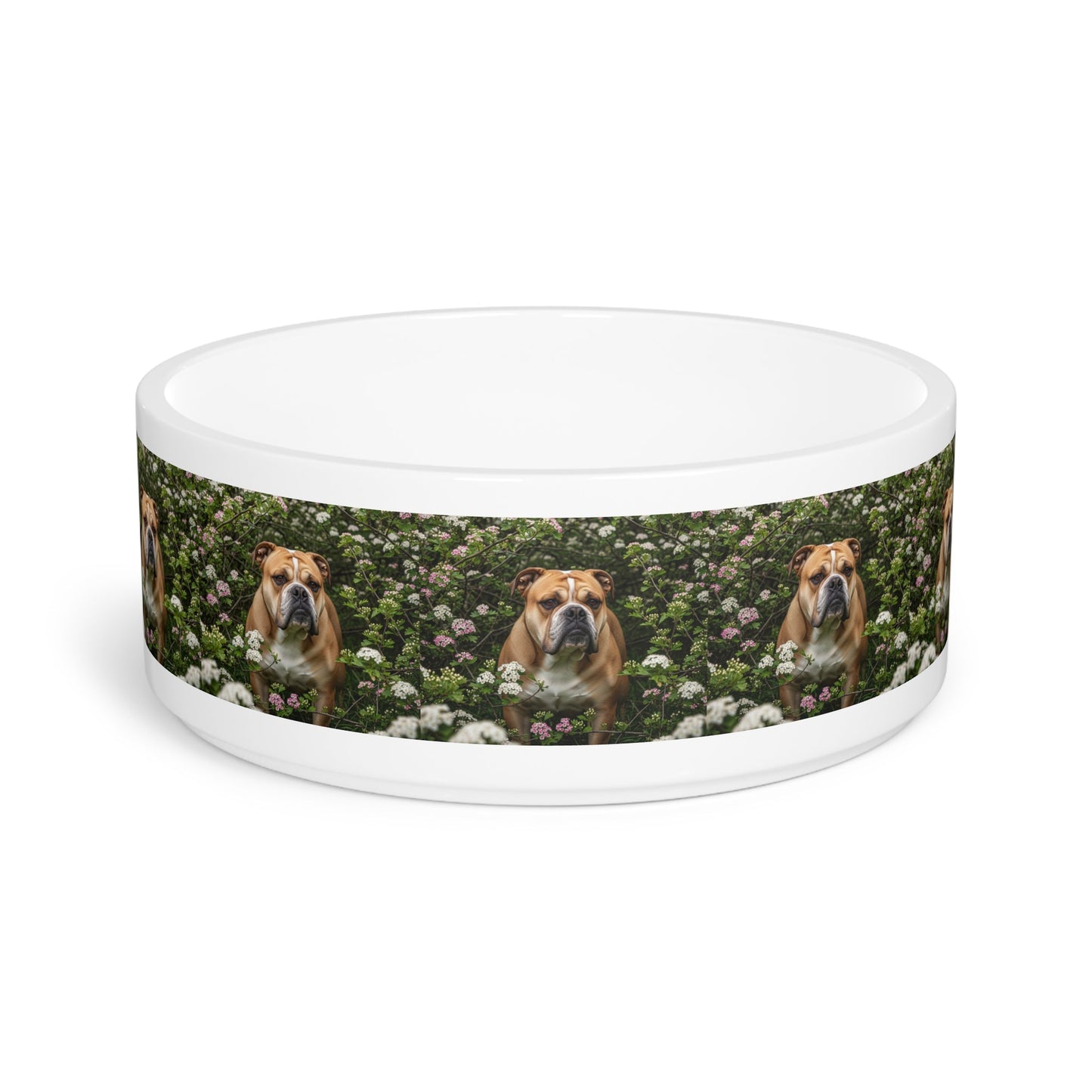 Olde English Bulldogge Pet Bowl