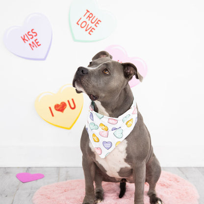 Valentine's Conversation Hearts Dog Bandana, M/L