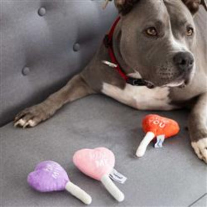 Valentine's Conversation Hearts Dog Toys, Set of 3