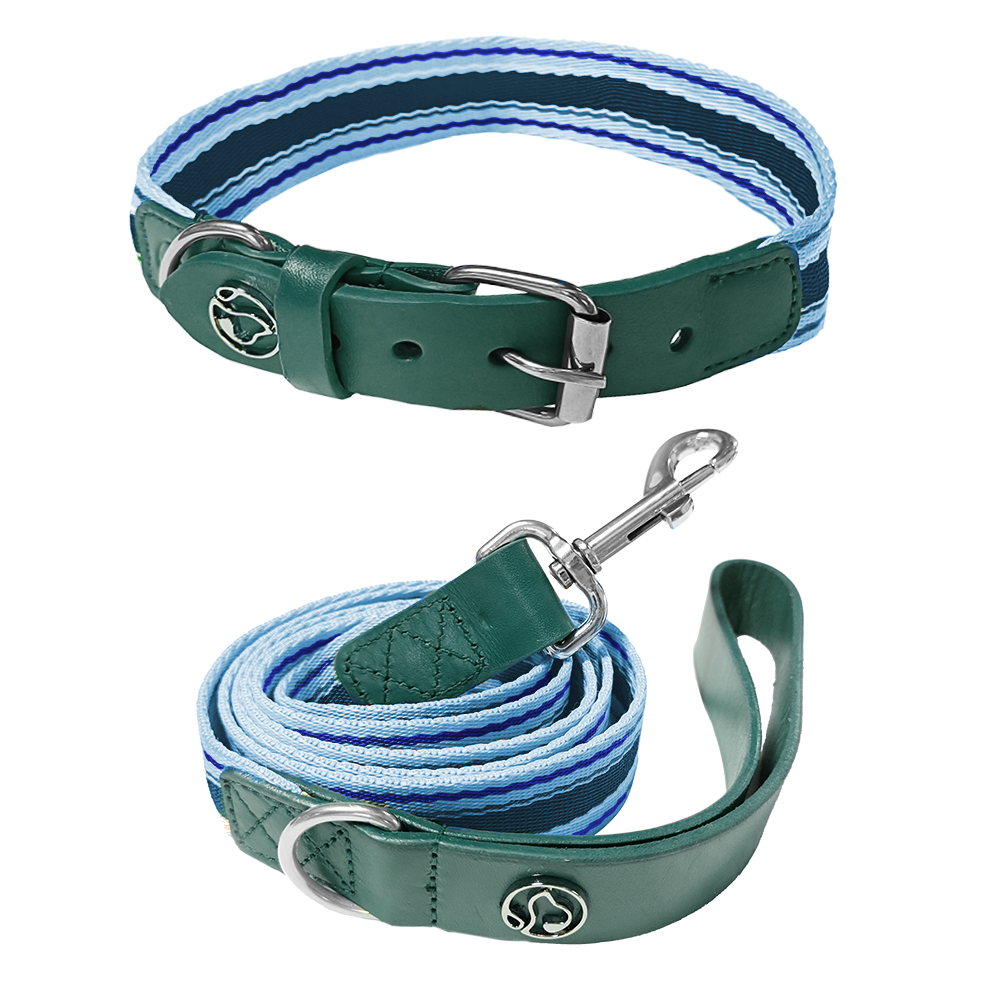 Adjustable Dog Collar And Leash Set 🐕 - Purrfect Pet Kingdom