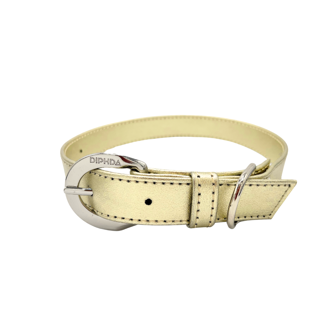 Champagne Gold Cactus Collar - Purrfect Pet Kingdom