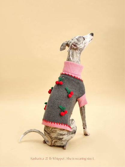 Dog Sweater Cherry Kiss Handmade Turtleneck 🧶