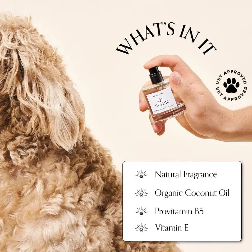 Dog Fragrance Youth Elixir Fresh Scent Spray 50mL ✨