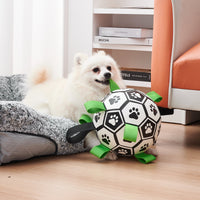 Interactive Football Ball Dog Toy