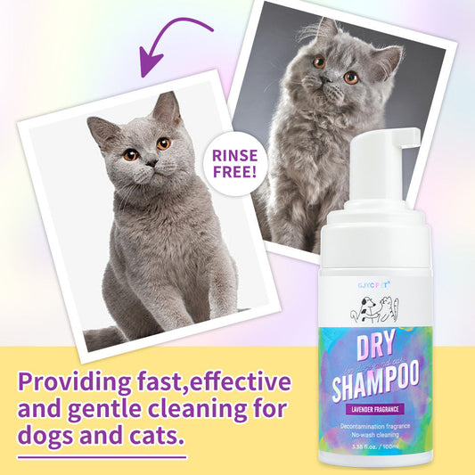 Cat Dry Shampoo Bubbles Pet No - Rinse Deodorizing and Fragrant Teddy No - Wash - V.I.P Digital Presence