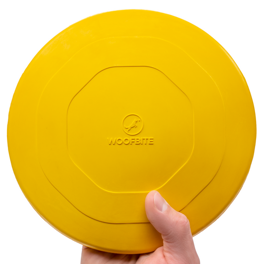 Air Disc - Flying Fetch Toy Ultimate 🥏