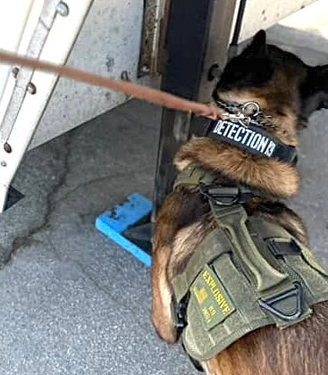 Detection K9 Laser Cut Reflective Morale Patch