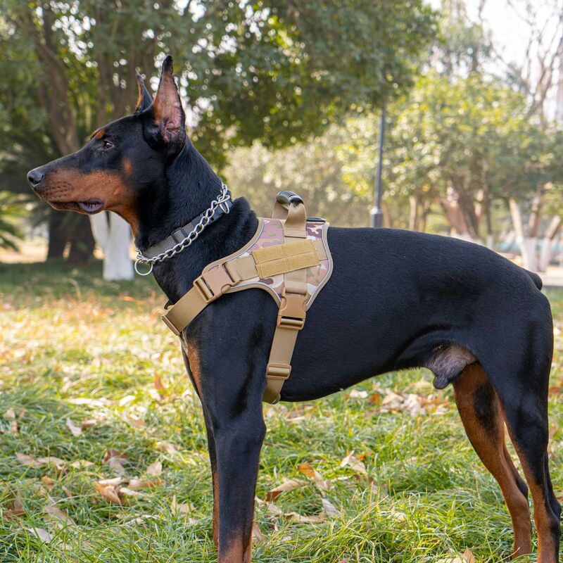 Tactical dog vest: for large dogs (German Shepherd, Golden Retriever) – training, military-style accessories. - Purrfect Pet Kingdom