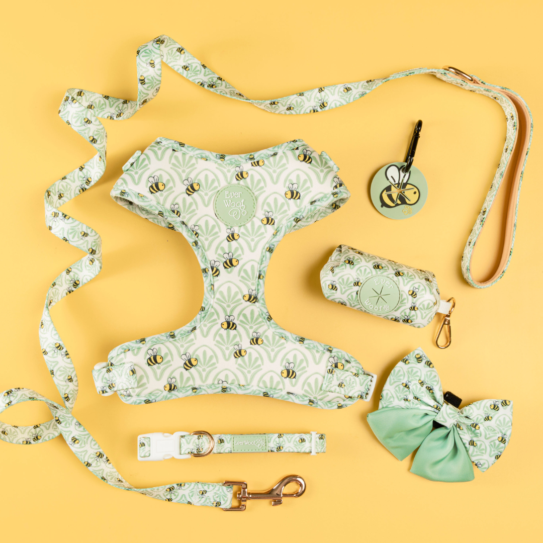 Little Honey Adjustable Harness Dog Harness | Purrfect Pet