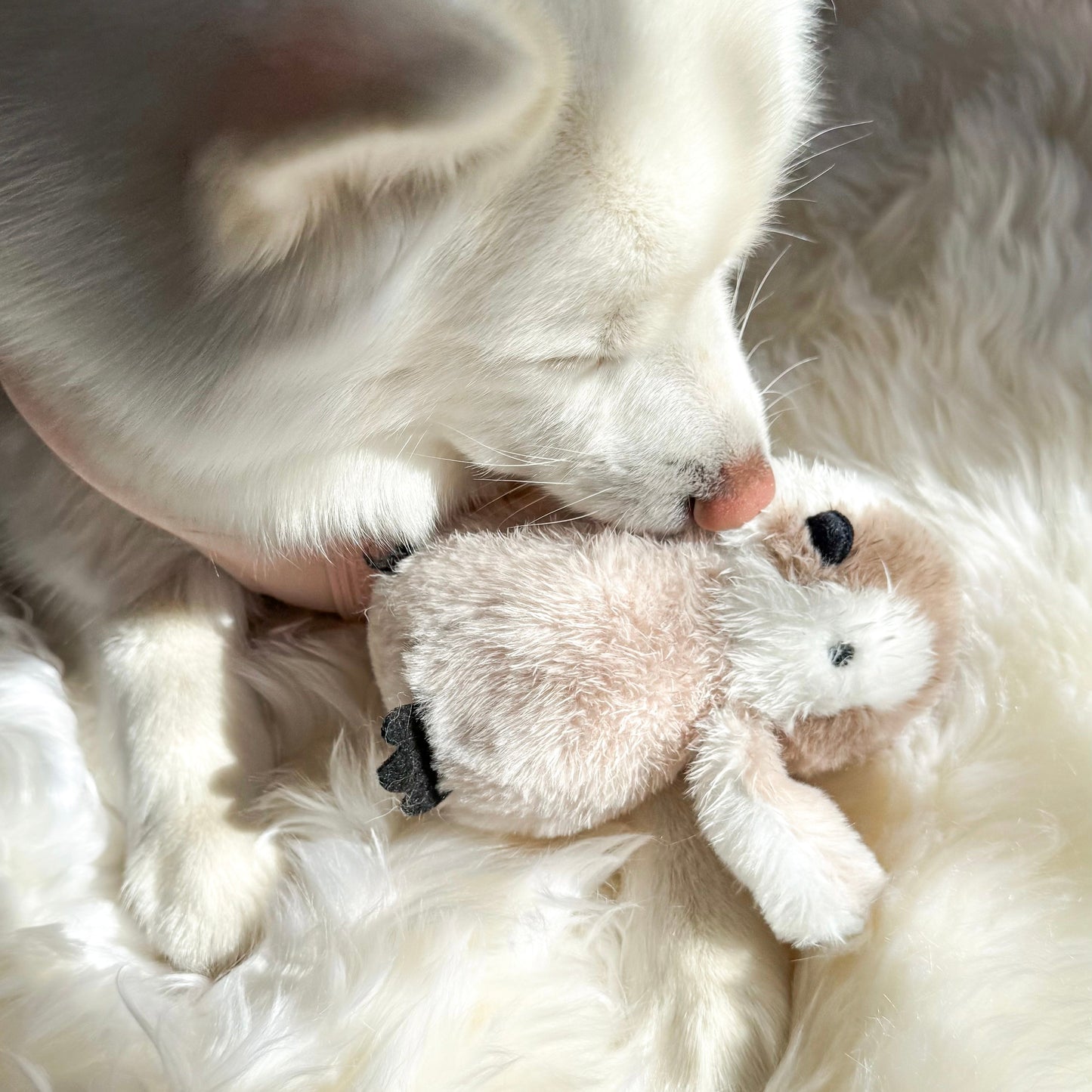 Pegy Mini Plushie - Pet Toy - Elise Galleria