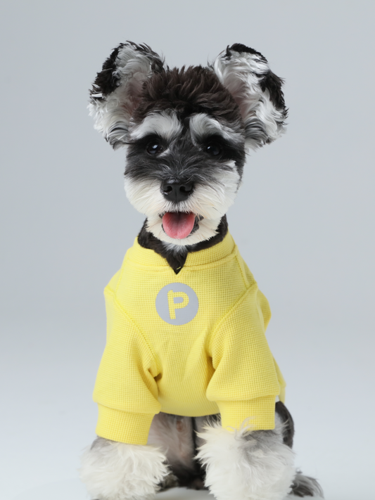 Embroidery Waffle T Shirt Yellow Dog Apparel Premium Pet - main product image