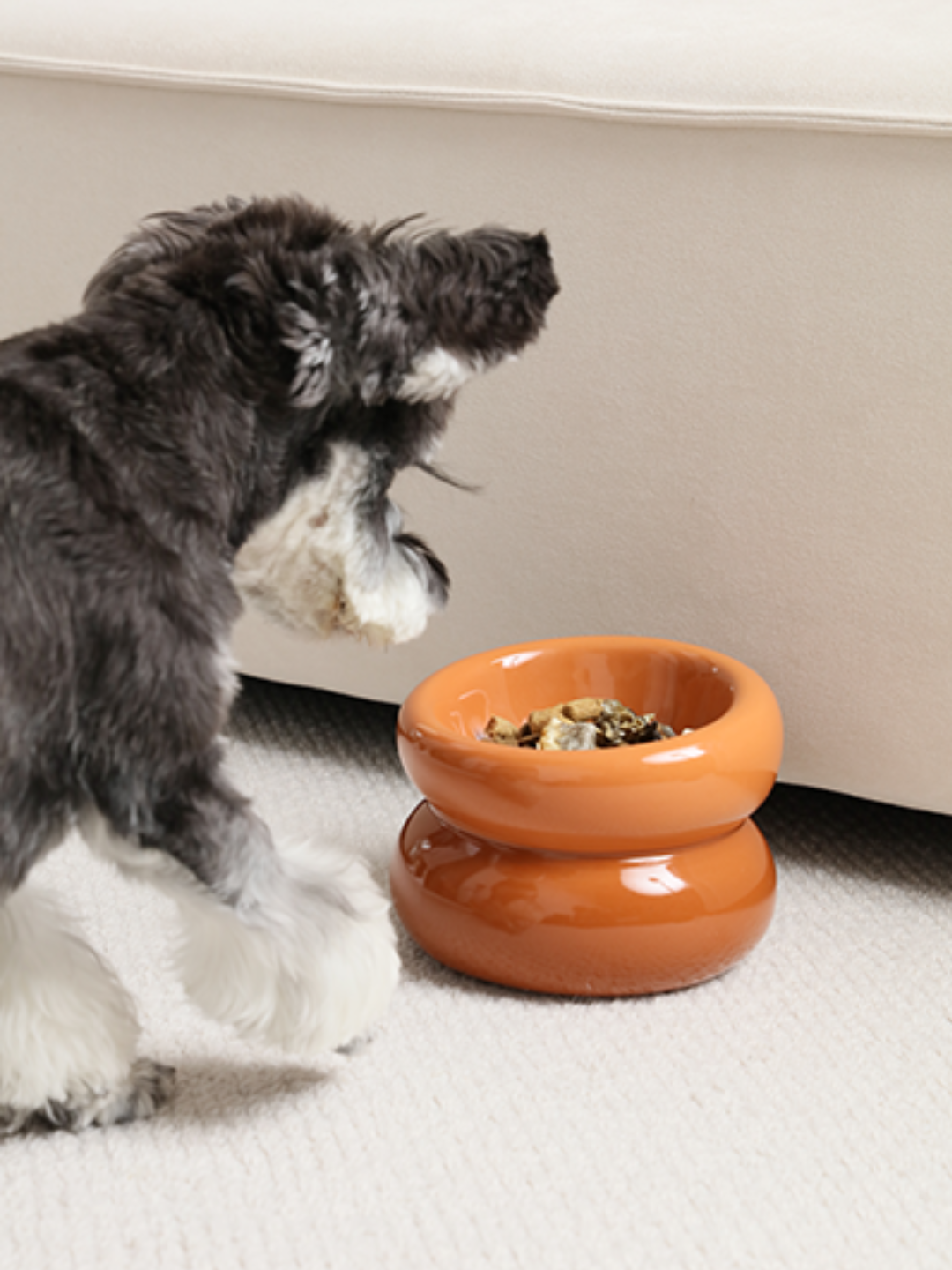 Purrfect Kingdom™ - Amber Orange Souffle Ceramic Bowl