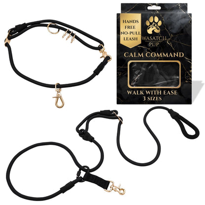 Calm Command No-Pull Dog Leash for Gentle Training Control