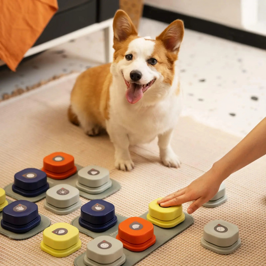MEWOOFUN Dog Talking Buttons for Pet Communication Toy - WTN Essentials