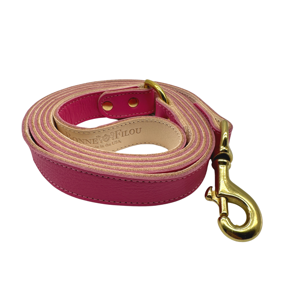 Dog Leash Plain Leather Leashes for Daily Use for Comfort - gallery product image for dog leash