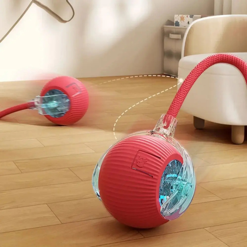 Interactive Cat Ball Toy Smart Automatic Rolling Ball for Active Indoor Cats - WTN Essentials