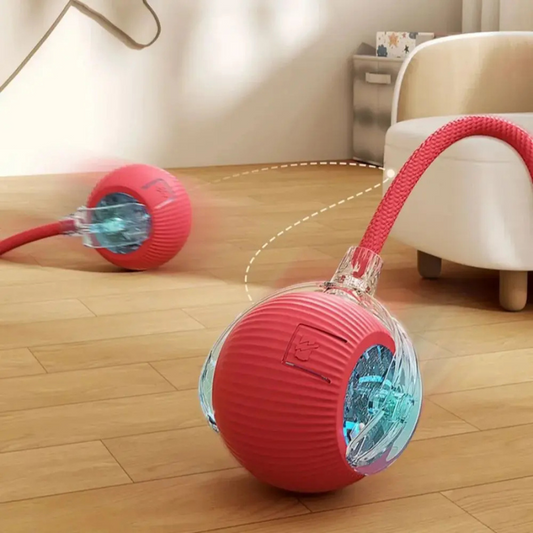 Interactive Cat Ball Toy Smart Automatic Rolling Ball for Active Indoor Cats - WTN Essentials