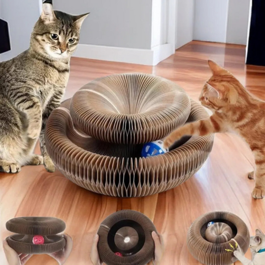 Magic Cat Scratch Toy with Ball – Round Corrugated Claw Board Toy