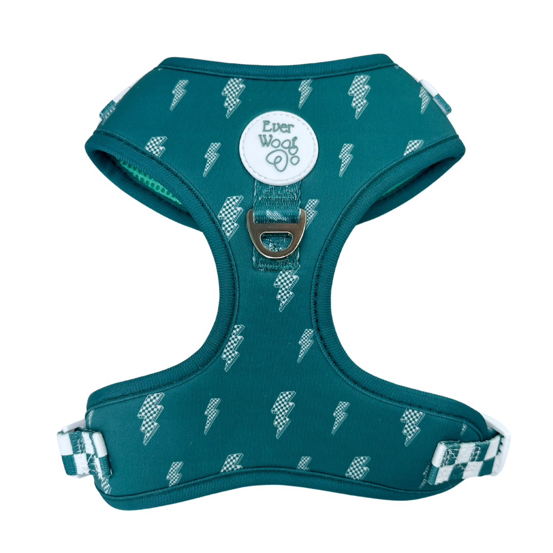 Thunderstruck Adjustable Dog Harness Breathable Neoprene Fit. Teal lightning bolt mesh harness by Purrfect Pet Kingdom.