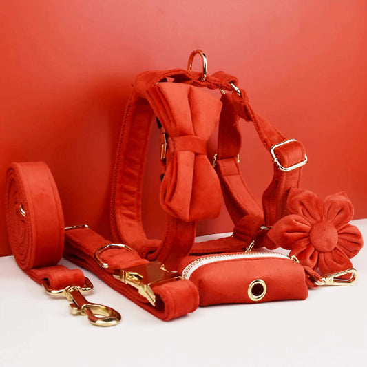 Red Velvet Luxury Dog Collar and Leash Set for Premium Com
