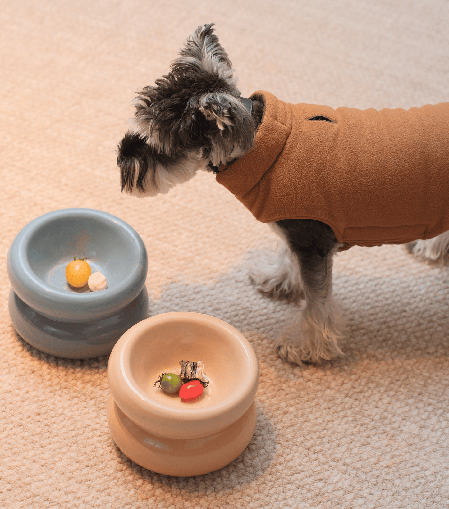 Ergonomic Ceramic Slanted Cat Bowl for Healthy Neck Support