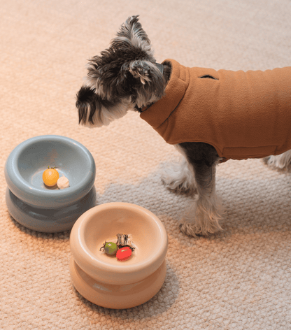 Ergonomic Ceramic Slanted Cat Bowl for Healthy Neck Support