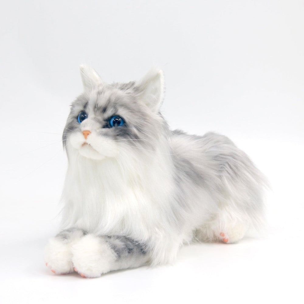 Plush Grey Hair Cat with Blue Eyes Order to Make